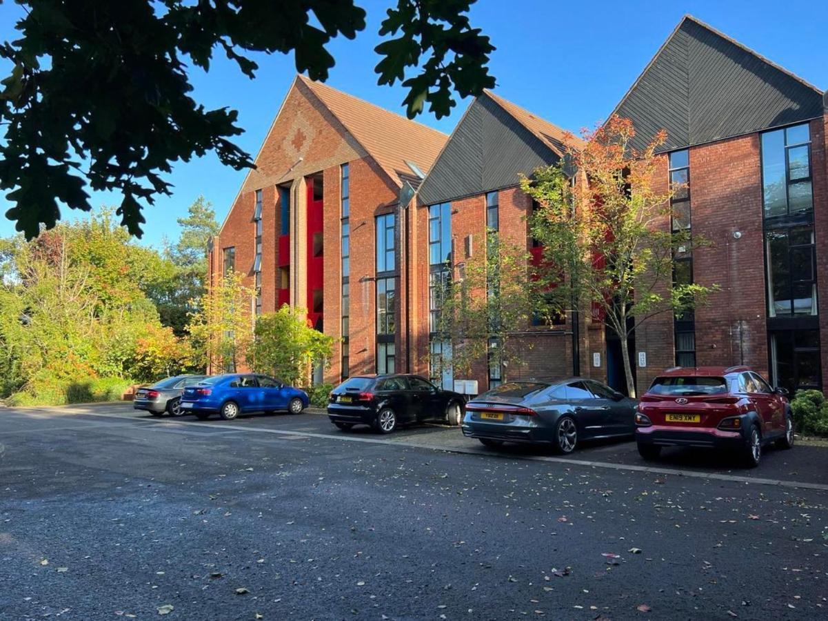 Modern Luxurious Apartment W/ Patio Balcony & View Jordanstown Exterior photo